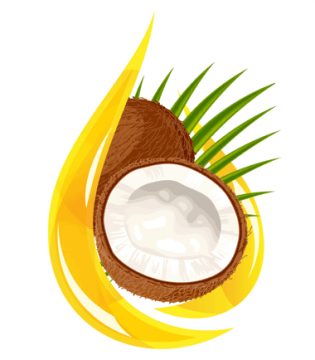 Reed Diffuser Coconut 100ml.