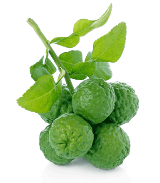 Toilet Spray Bergamot 60ml.