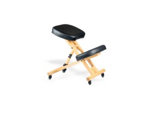 Adjustable Therapist Stool