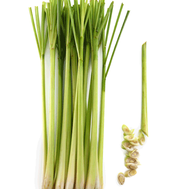 Lemongrass-380-x434px